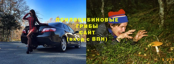 PSILOCYBIN Арсеньев