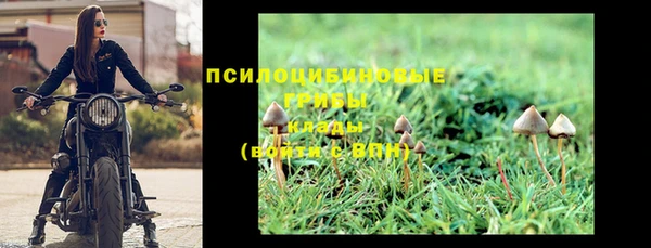 PSILOCYBIN Арсеньев