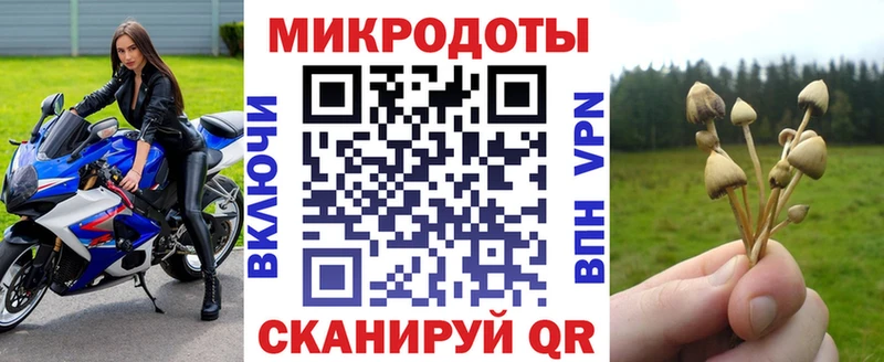 Галлюциногенные грибы мухоморы  omg ссылка  Медынь 